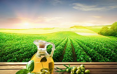 液袋的典型應(yīng)用分類